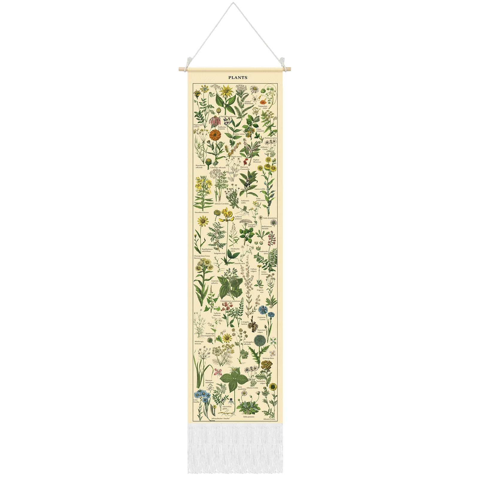 Tegeme Vintage Tapestry 52 x 13 Inch, Long Vertical Wall Hanging Reference Illustrative Botanical Tassel Tapestry for Bedroom Living Room Home Decoration(Plants)