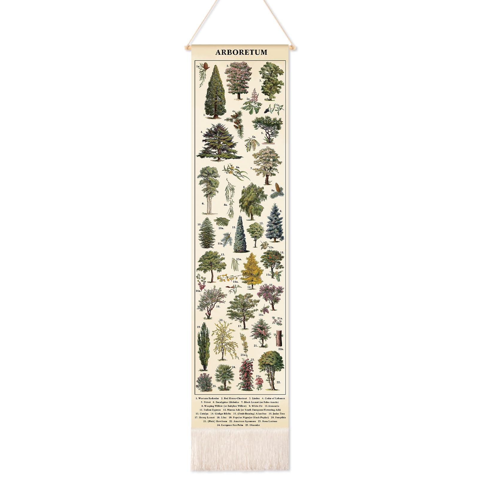 Feifeiya Vintage Plants Vertical Tapestry Wall Hanging Long Narrow Wall Art Fabric Earthy Art Hanging Reference Illustrative Botanical Tassel Tapestry for Plant Lovers