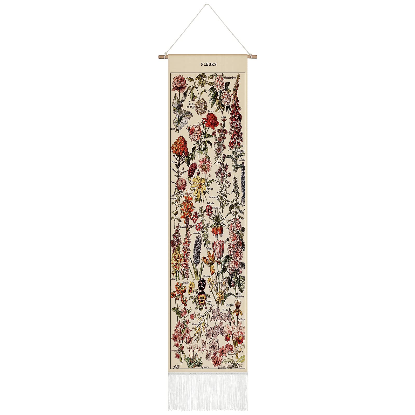 Tegeme Vintage Tapestry 52 x 13 Inch, Long Vertical Wall Hanging Reference Illustrative Botanical Tassel Tapestry for Bedroom Living Room Home Decoration(Plants)