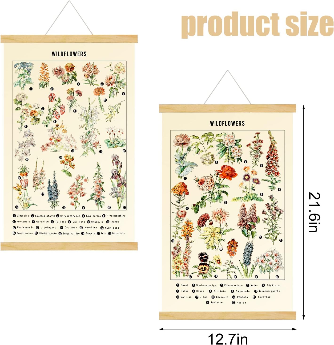 Chenkaiyang 2 Pcs Vintage Poster Hanging,Flowers Wall Hanging Botanical Rustic Retro Colorful Wall Art Prints Flower Chart Posterfor Living Room Bedroom Office Play Room Decor,12.7 X 21.6 Inch