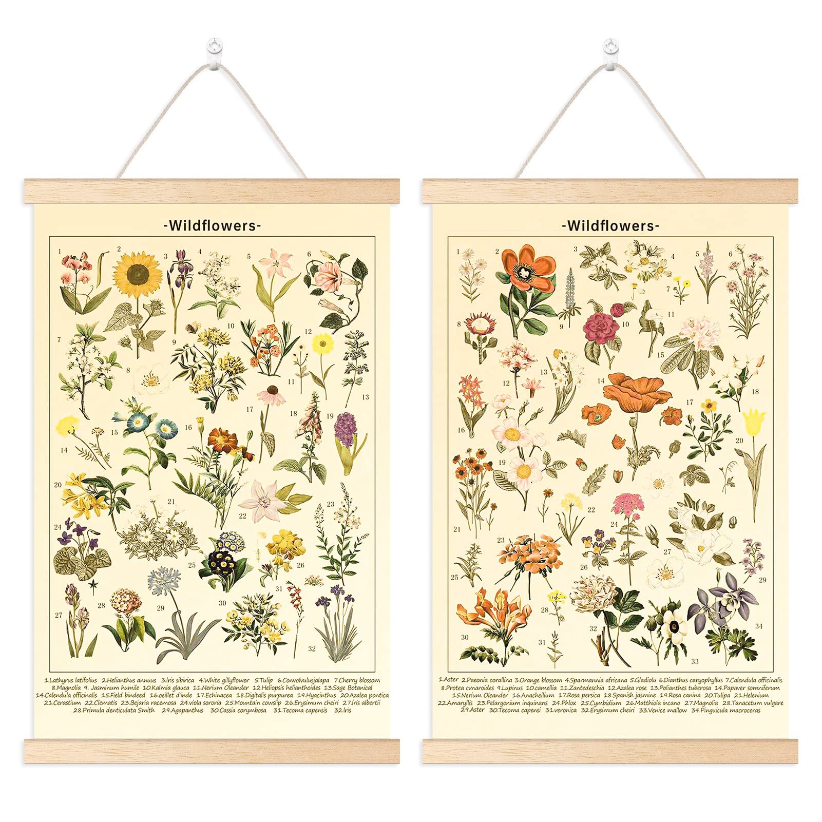 Chenkaiyang 2 Pcs Vintage Poster Hanging,Flowers Wall Hanging Botanical Rustic Retro Colorful Wall Art Prints Flower Chart Posterfor Living Room Bedroom Office Play Room Decor,12.7 X 21.6 Inch