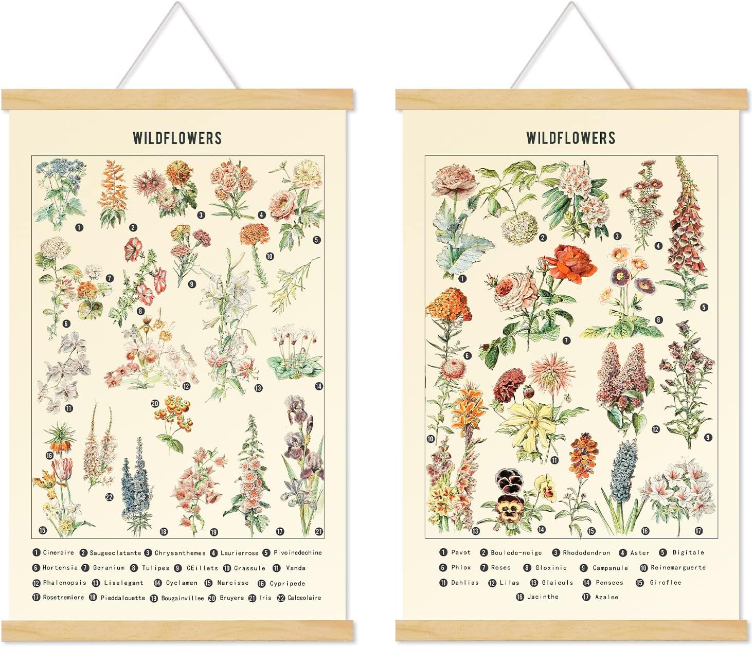 Chenkaiyang 2 Pcs Vintage Poster Hanging,Flowers Wall Hanging Botanical Rustic Retro Colorful Wall Art Prints Flower Chart Posterfor Living Room Bedroom Office Play Room Decor,12.7 X 21.6 Inch