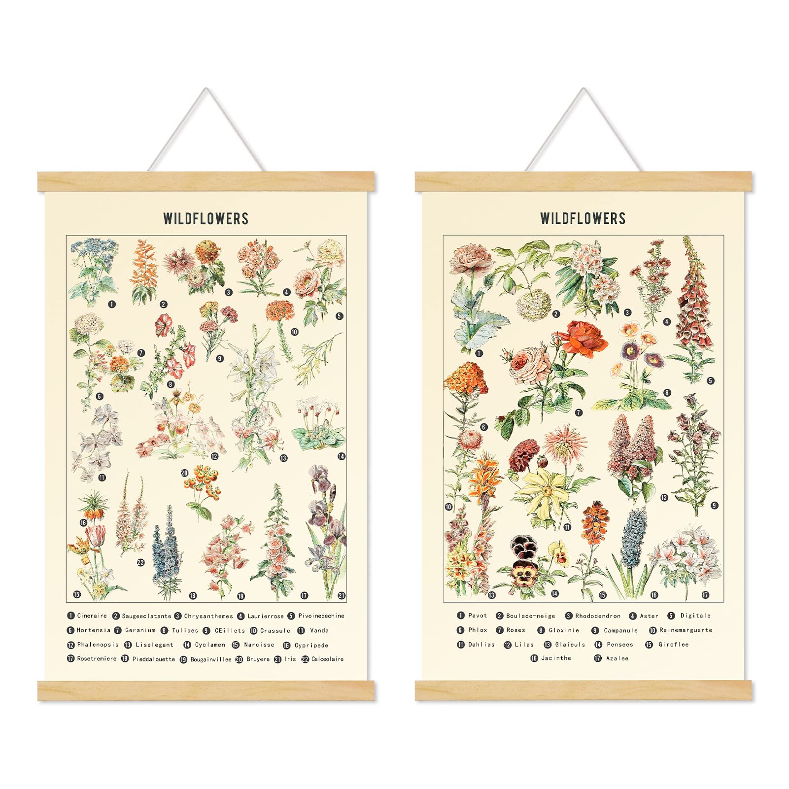 Chenkaiyang 2 Pcs Vintage Poster Hanging,Flowers Wall Hanging Botanical Rustic Retro Colorful Wall Art Prints Flower Chart Posterfor Living Room Bedroom Office Play Room Decor,12.7 X 21.6 Inch